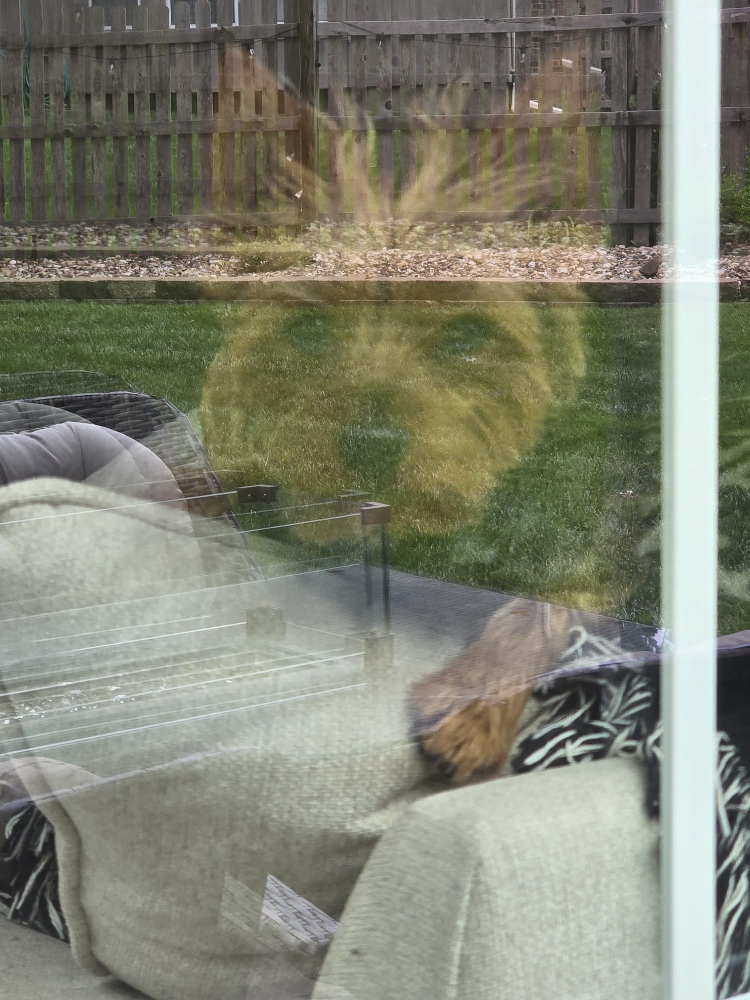 Spring Refresh Window Cleaning in Overland Park