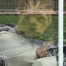 Spring-Refresh-Window-Cleaning-in-Overland-Park 0